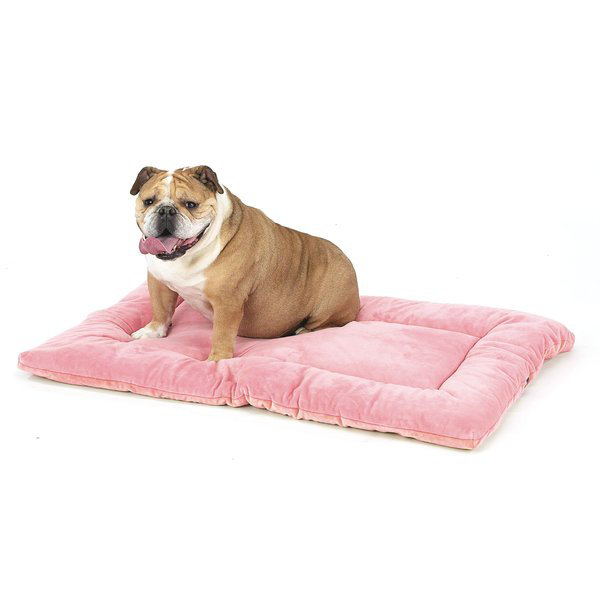 Chew Proof Nylon Crate & Kennel Mats You'll Love in 2022 Wayfair.ca